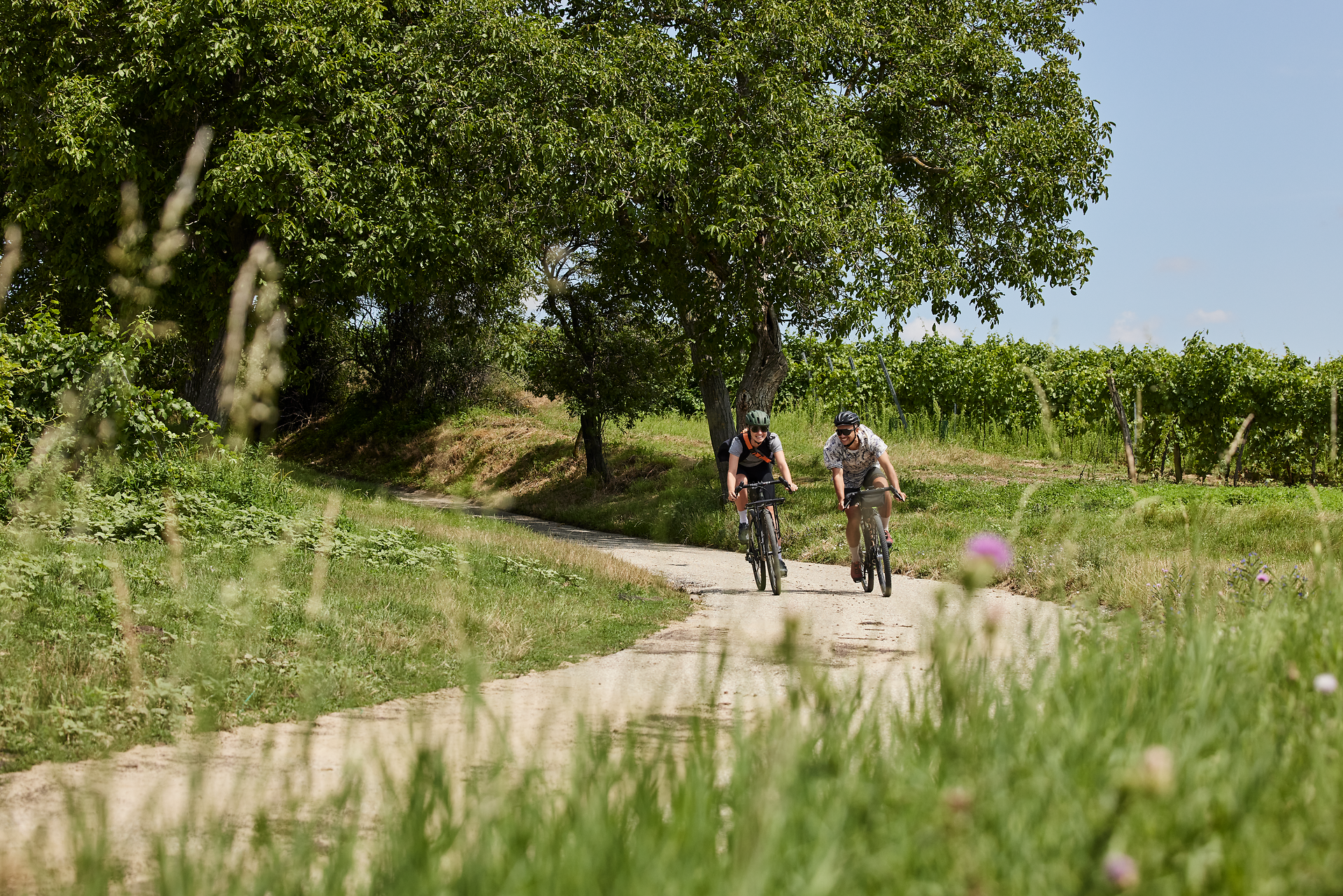 Zwei Radfahrer genießen die sanfte Brise und die malerische Landschaft entlang der Kamp-Thaya-March-Radroute. Umgeben von üppigem Grün und blühenden Wildblumen, strahlt die Szenerie eine einladende Sommeratmosphäre aus, die zum Verweilen und Erkunden einlädt.