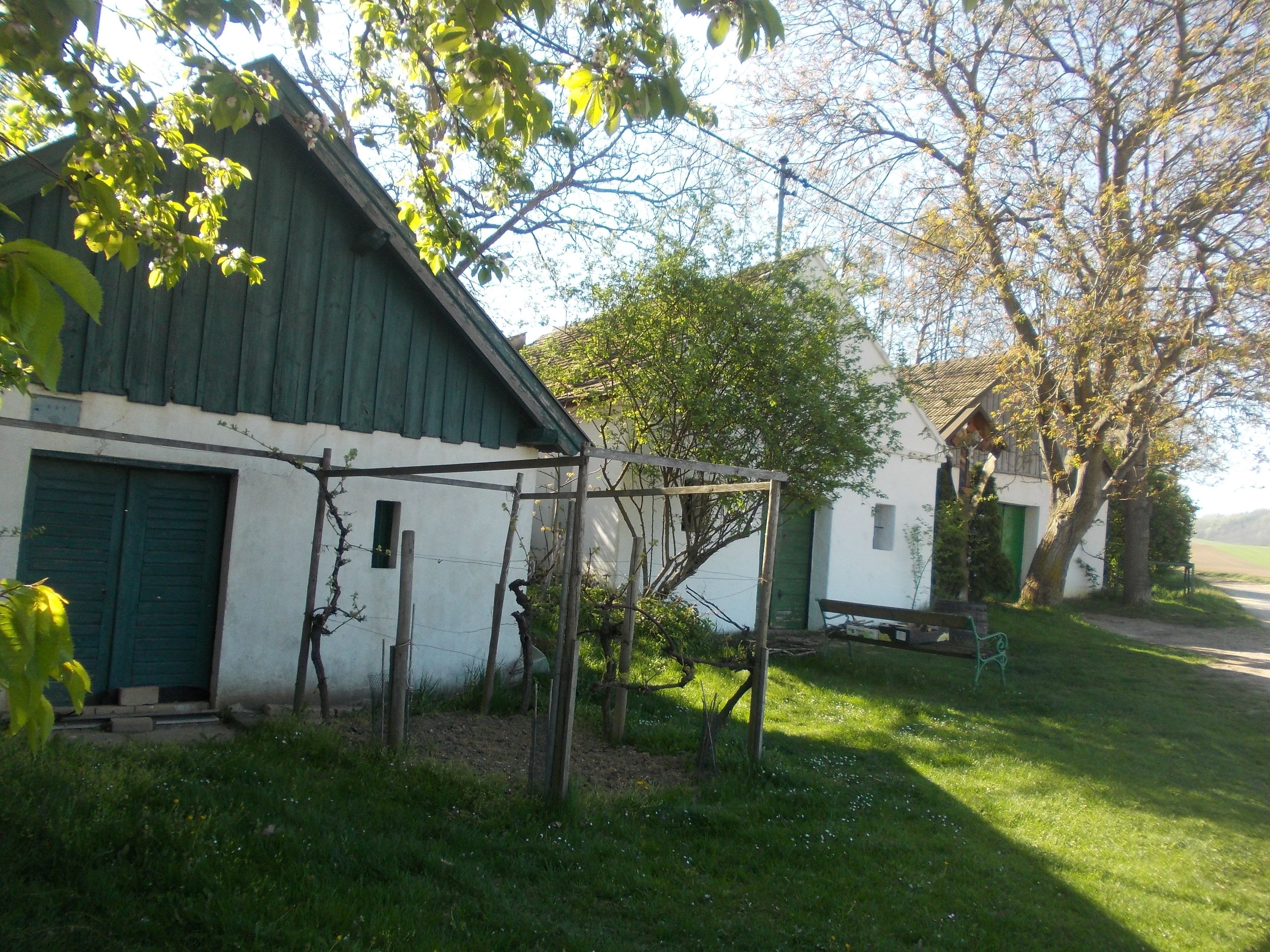 Ländliche Szene mit alten Gebäuden, Bäumen und einer Bank im Grünen.