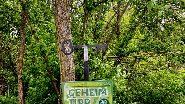 Ein Schild mit der Aufschrift 'Geheimtipp' vor einem Baum in einem Waldgebiet.
