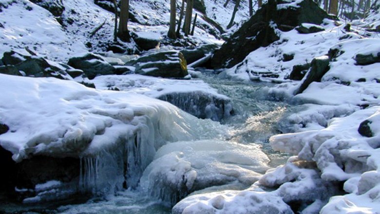 Winterlandschaft im Nationalpark Thayatal, © Nationalpark Thayatal