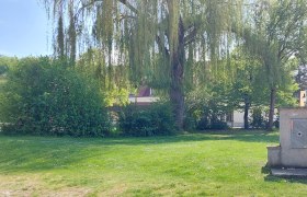 Grüne Wiese mit Bäumen und einem kleinen Gebäude im Hintergrund.