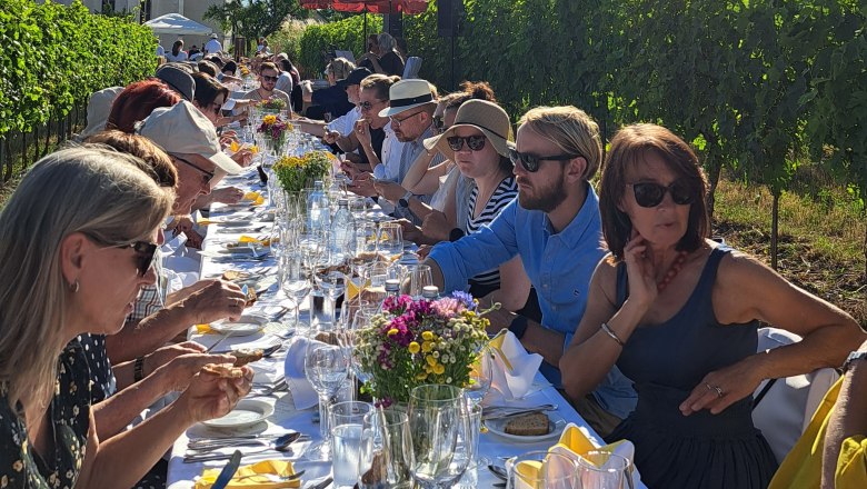 Menschen sitzen an einem langen Tisch im Freien neben einem Weinberg, mit einer Kirche im Hintergrund und strahlendem Sonnenschein.