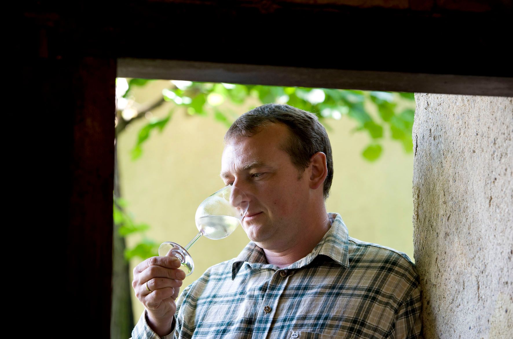 A man in a plaid shirt smells a wine glass.