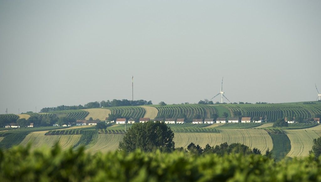 Kellergasse Alte Geringen in Ketzelsdorf bei Poysdorf