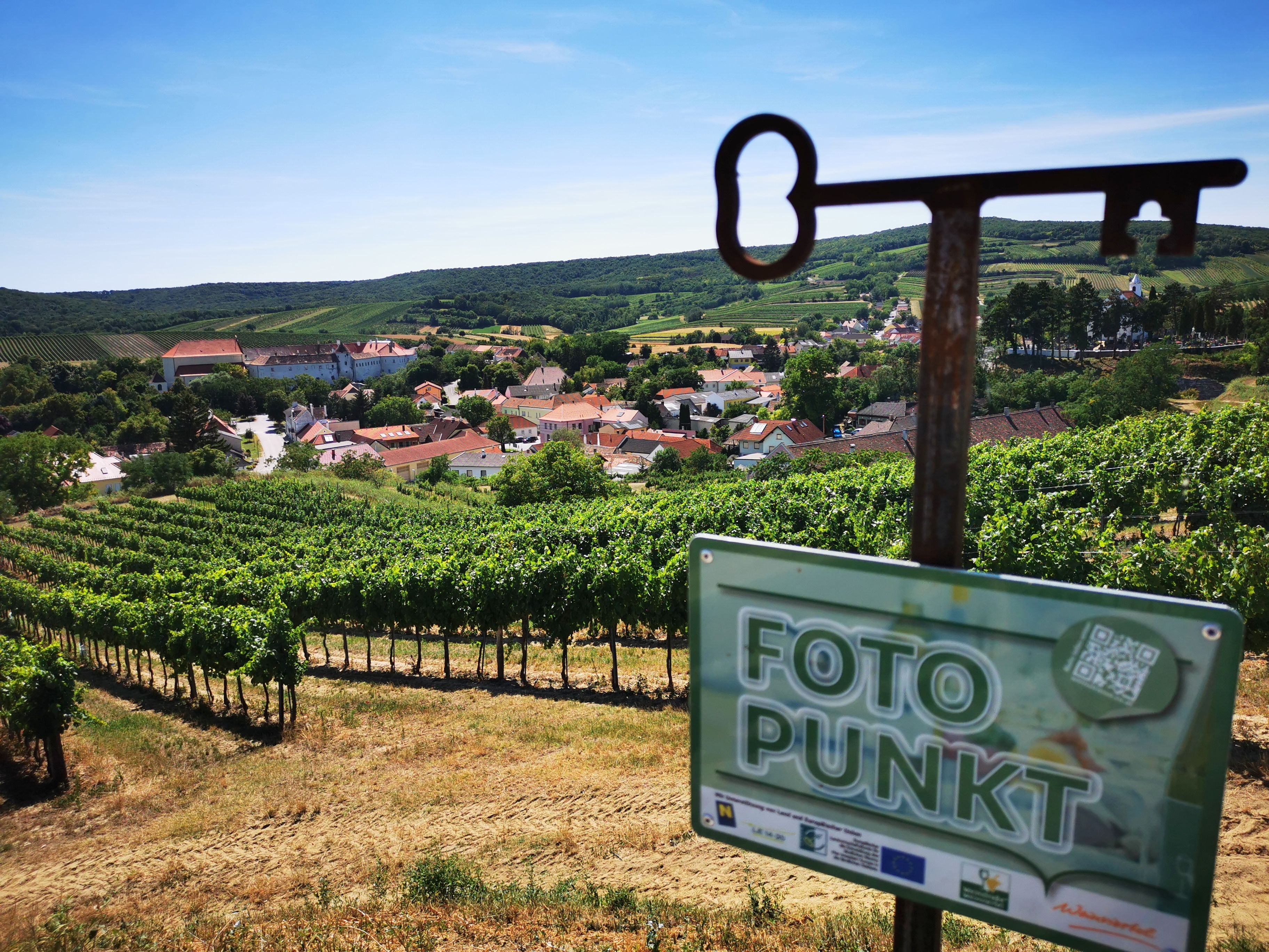 View of a village surrounded by vineyards with a 'photo point' sign in the foreground.