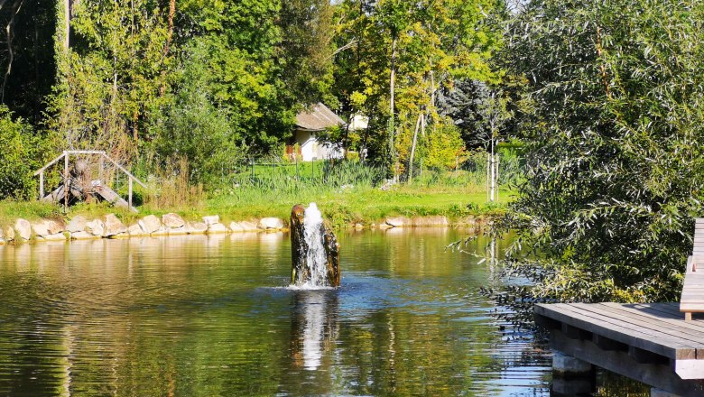 Ein Teich mit einem kleinen Springbrunnen, umgeben von Bäumen und einem Holzsteg.