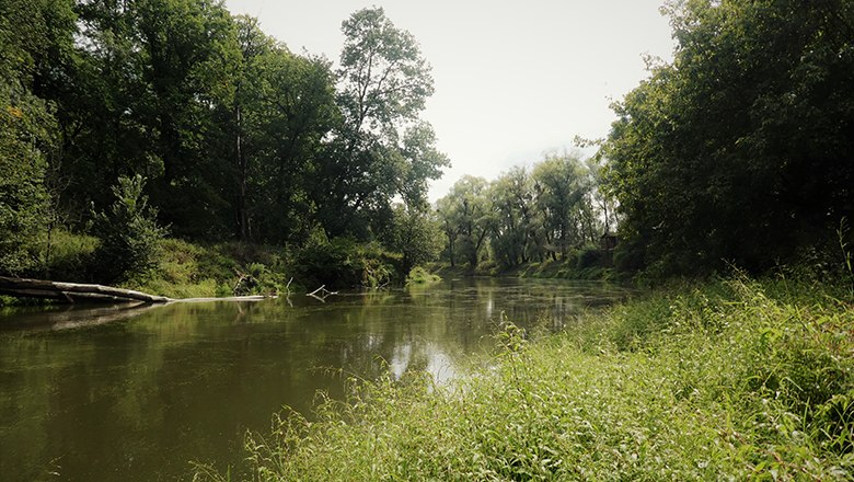 Flusslandschaft, © Ruth Trinkler