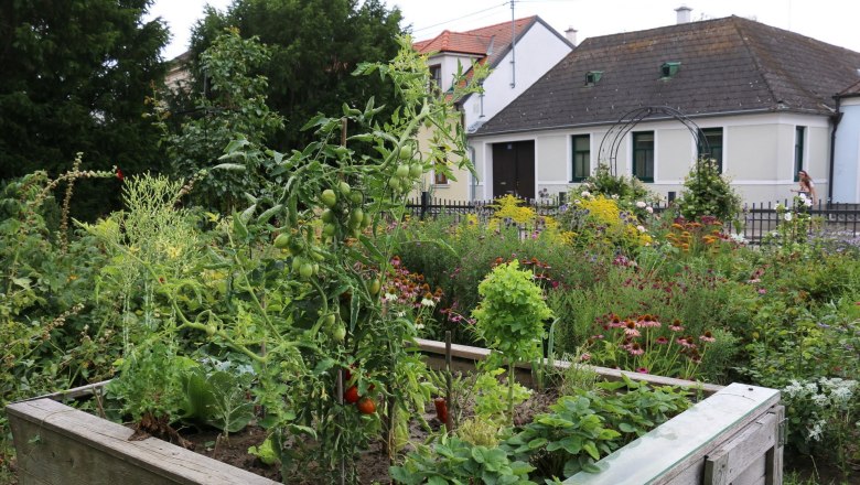 Ein üppiger Garten mit Hochbeet voller Gemüse und Blumen vor einem Haus.