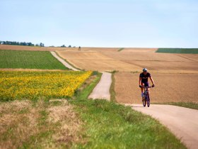 Auf den Feldwegen durchs Weinviertel, © Weinviertel Tourismus / Schreiner