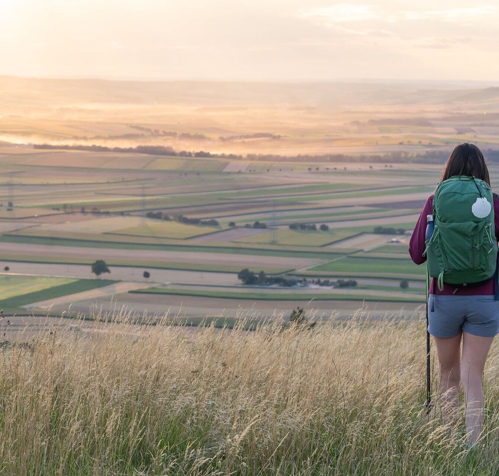 Eine Wanderin mit Rucksack und Jakobswegmuschel pilgert mit Blick auf die sanft-hügelige Landschaft durch das Weinviertel.
