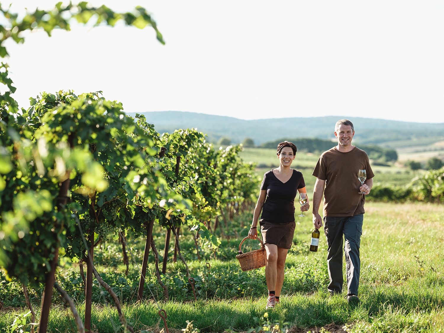 Two people are walking through a vineyard holding wine glasses.