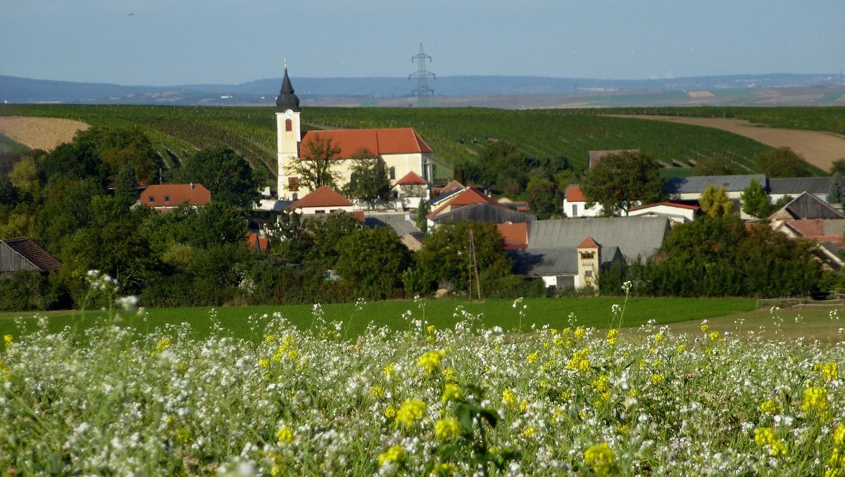 Pohľad na dedinu s kostolom a červenými strechami, obklopenú zelenými poliami a kopcami.