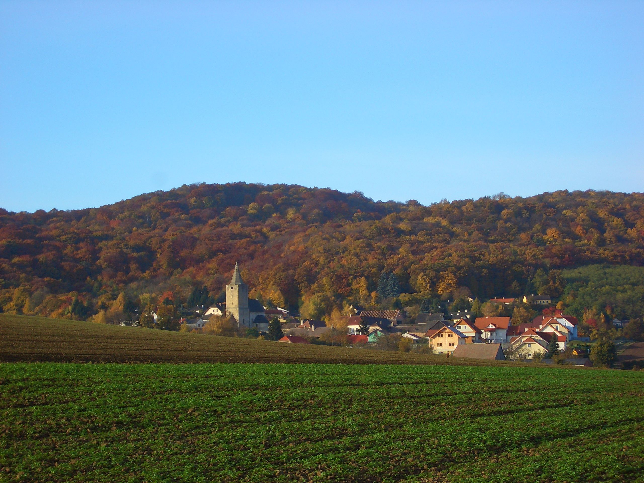 Pohled na Michelstetten s kostelem a podzimně zbarveným lesem v pozadí.