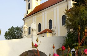 Pfarrkirche Wolkersdorf mit Statuen und Rosen im Vordergrund.