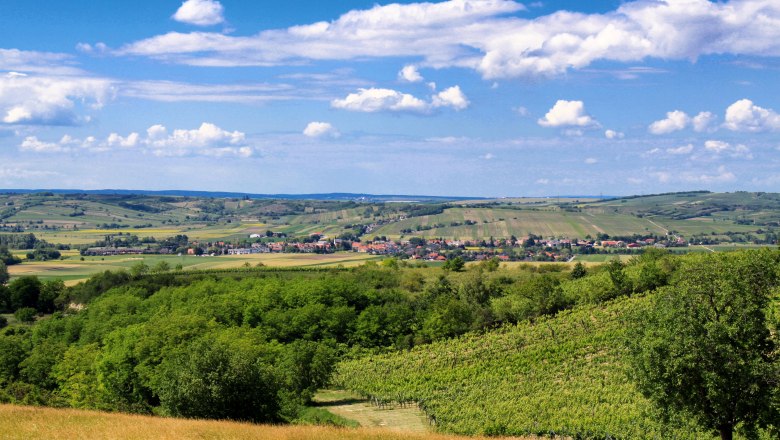 Landschaft mit grünen Feldern und einem Dorf im Hintergrund unter blauem Himmel.