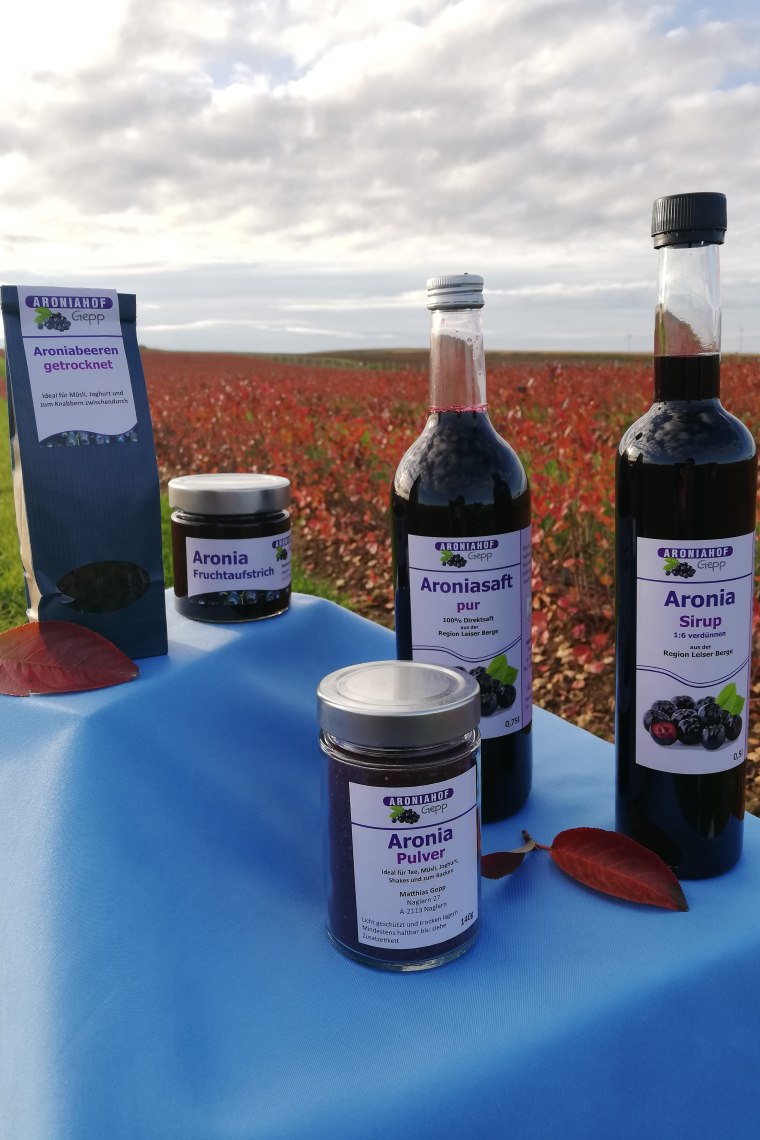 Aroniahof Gepp , © Aroniahof Gepp 