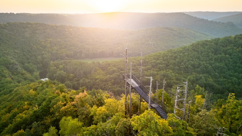 Viewing platform in the forest with sunset in the background.