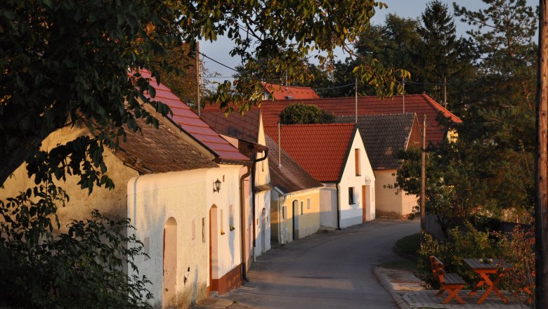 Eine malerische Kellergasse mit traditionellen Weinkellern und roten Dächern in Jedenspeigen, umgeben von Bäumen im Abendlicht.
