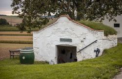 Ein Keller mit der Aufschrift "Besichtigungskeller" und einer Kellerkatze auf der Mauer liegt eingebettet im Weinviertler Landschaftsbild.