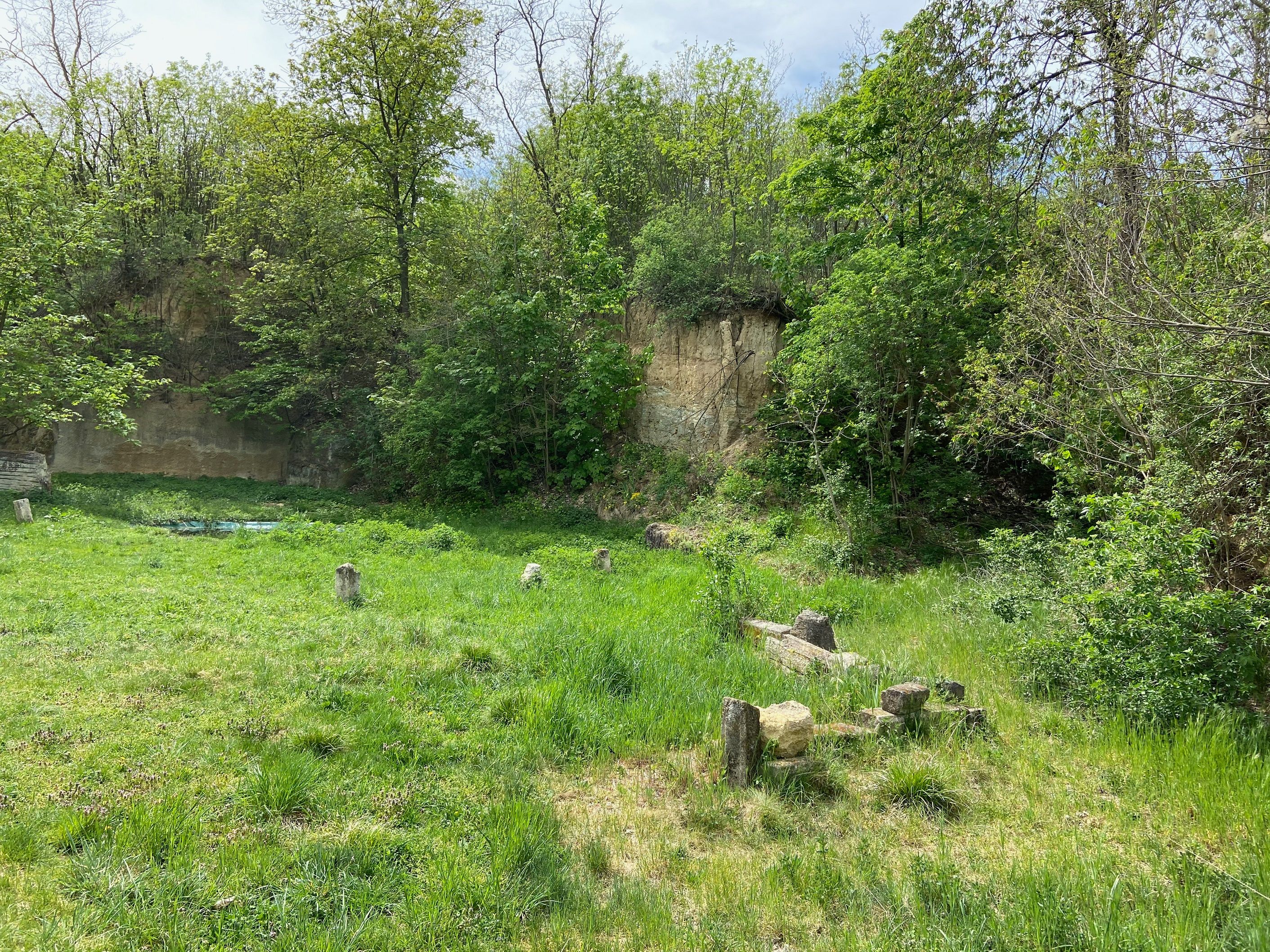 Ein grüner Steinbruch mit Bäumen und Gras, umgeben von Felsen.