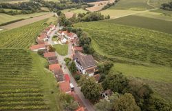 Presshäuser reihen sich zu einer Kellergasse aneinander. Eingebettet ist die Kellergasse in Weingärten, die sich im Hintergrund über die sanften Hügel erstrecken.