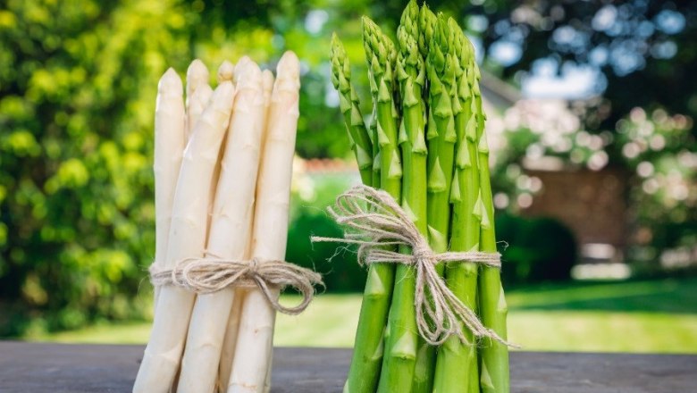 Asparagus, © Fam Edlinger