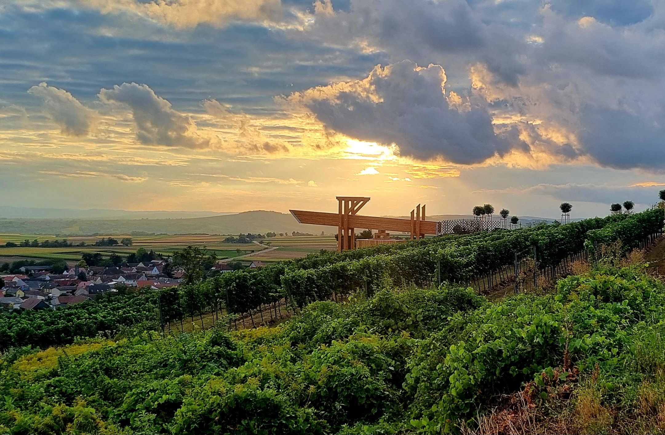 Vineyards at sunset with modern terrace in the background.