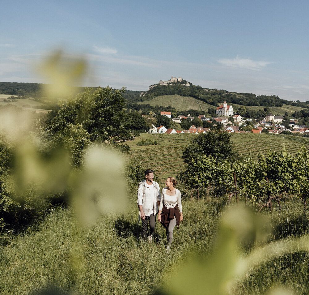 Ein romantisches Pärchen schlendert durch die sanften Weinberge, umgeben von üppigem Grün und blühenden Pflanzen. Der Blick auf die majestätische Burgruine Falkenstein im Hintergrund verleiht der Szenerie eine zauberhafte Atmosphäre. Hier, wo der Weinfrühling die Sinne verführt, wird jeder Schritt zum Genuss.