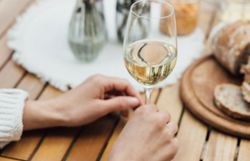 Ein sonniger Nachmittag auf einem malerischen Winzerhof, wo die Gäste mit einem Glas frischem Wein anstoßen. Umgeben von blühenden Wildblumen und einer einladenden Jause, genießen die Besucher die entspannte Atmosphäre und die köstlichen Aromen der Region.