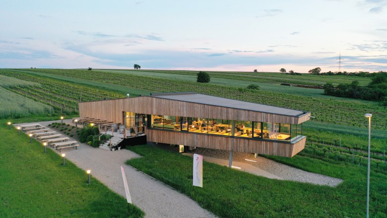 Modern building surrounded by vineyards at sunset.