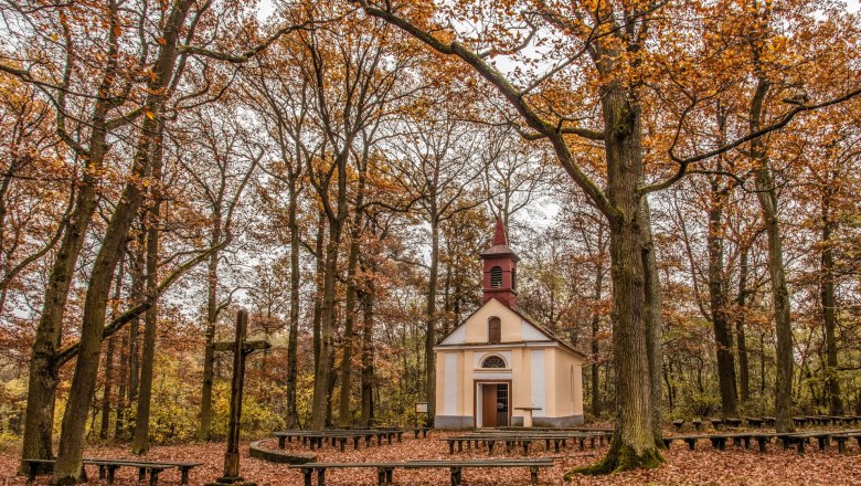 Eine kleine Kapelle im Wald, umgeben von herbstlichen Bäumen und Laub auf dem Boden.
