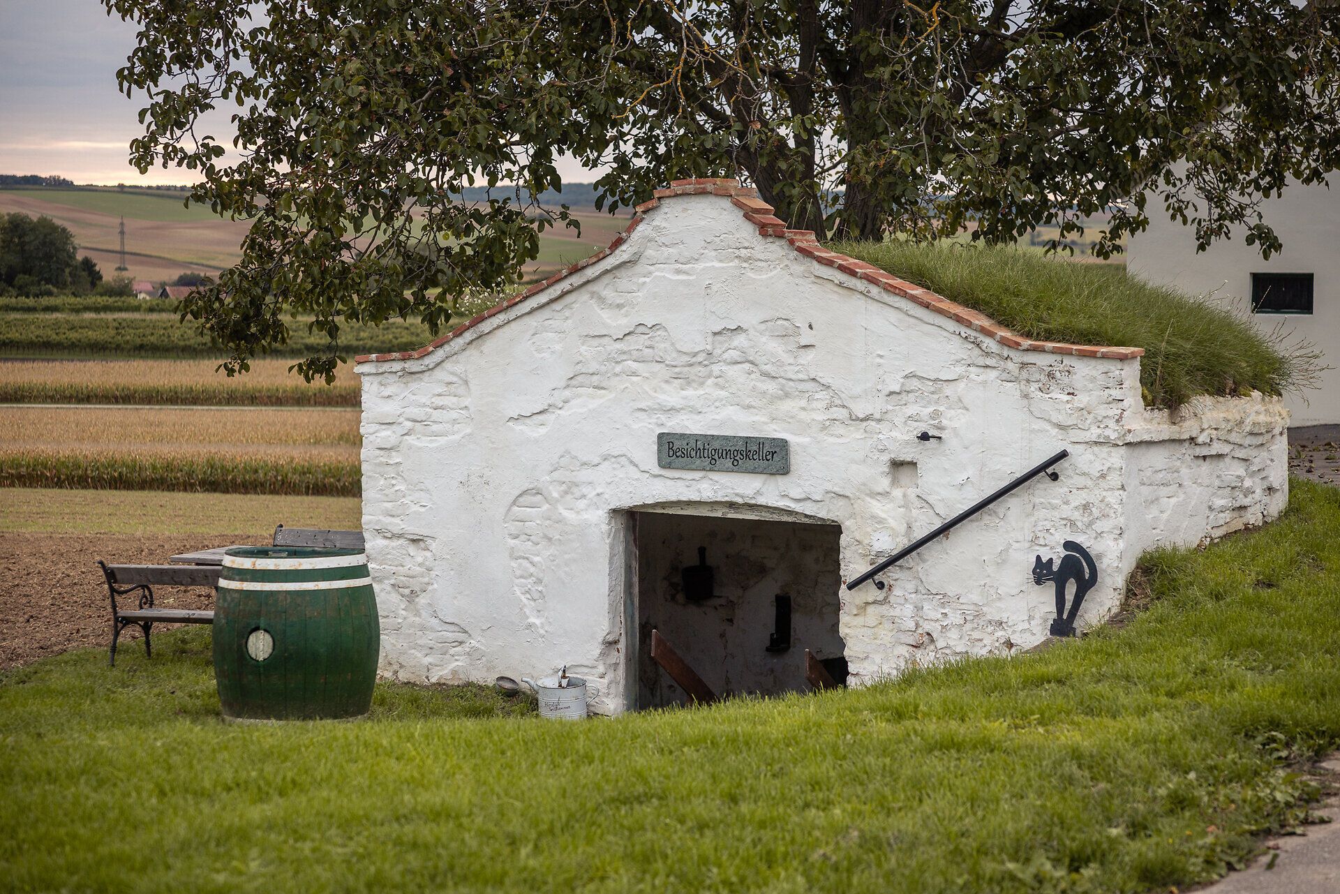 Ein Keller mit der Aufschrift "Besichtigungskeller" und einer Kellerkatze auf der Mauer liegt eingebettet im Weinviertler Landschaftsbild.
