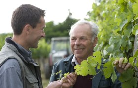 Zwei M&auml;nner in einem Weinberg, die sich unterhalten und Weinreben betrachten.