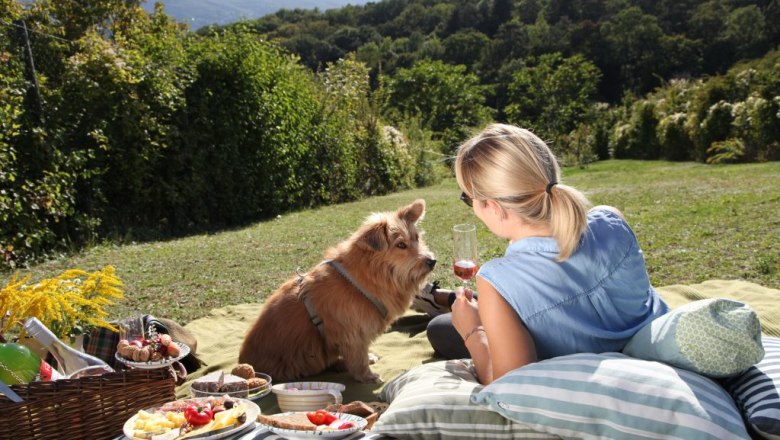 Frau mit Hund bei einem Picknick im Gr&uuml;nen mit Wein und Snacks.