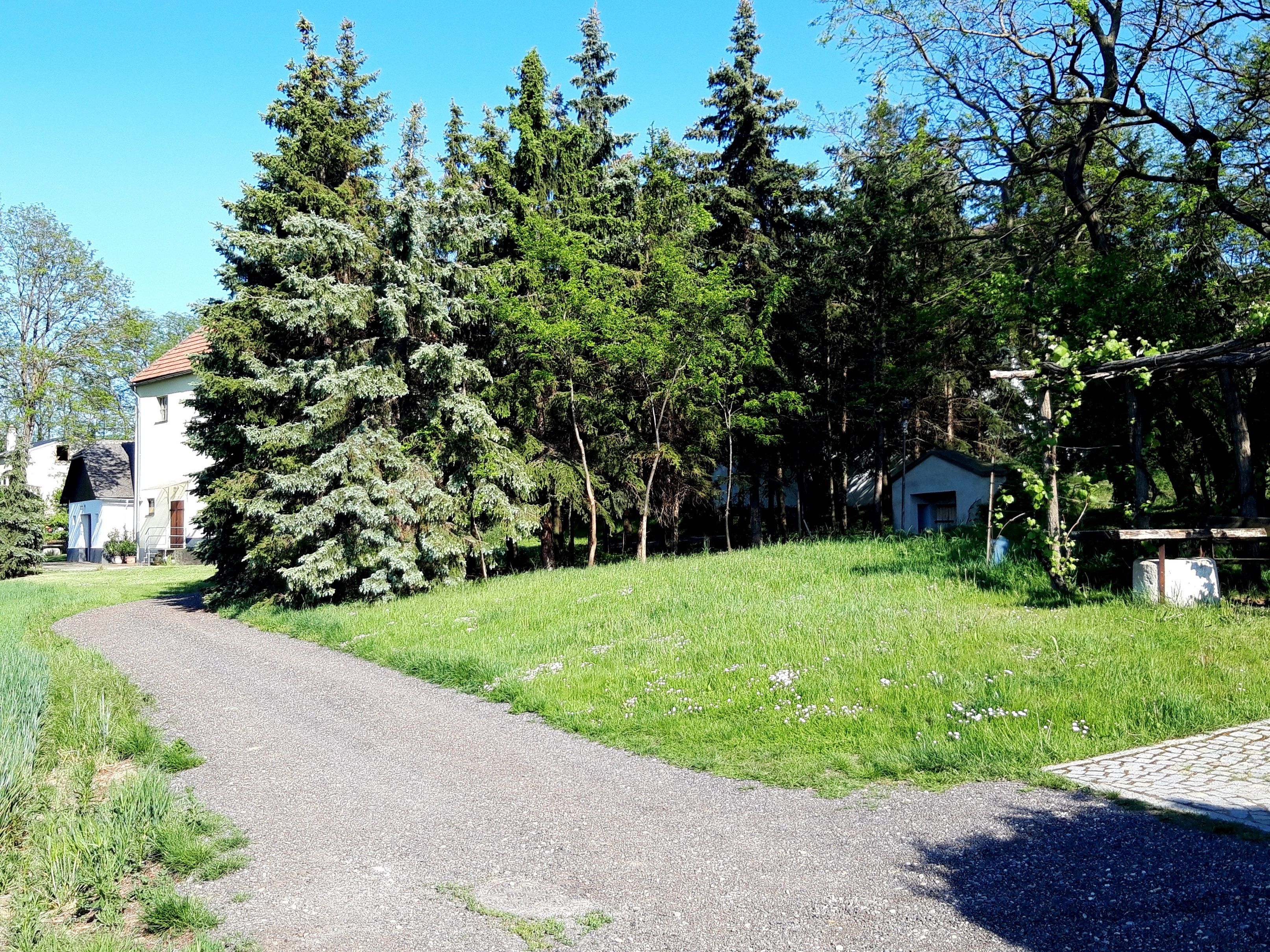 Ein Weg führt an einem Haus und hohen Bäumen vorbei, umgeben von grüner Wiese und blauem Himmel.