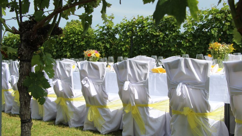 Gedeckter Tisch im Freien mit weißen Stuhlhussen und gelben Schleifen, umgeben von Weinreben.