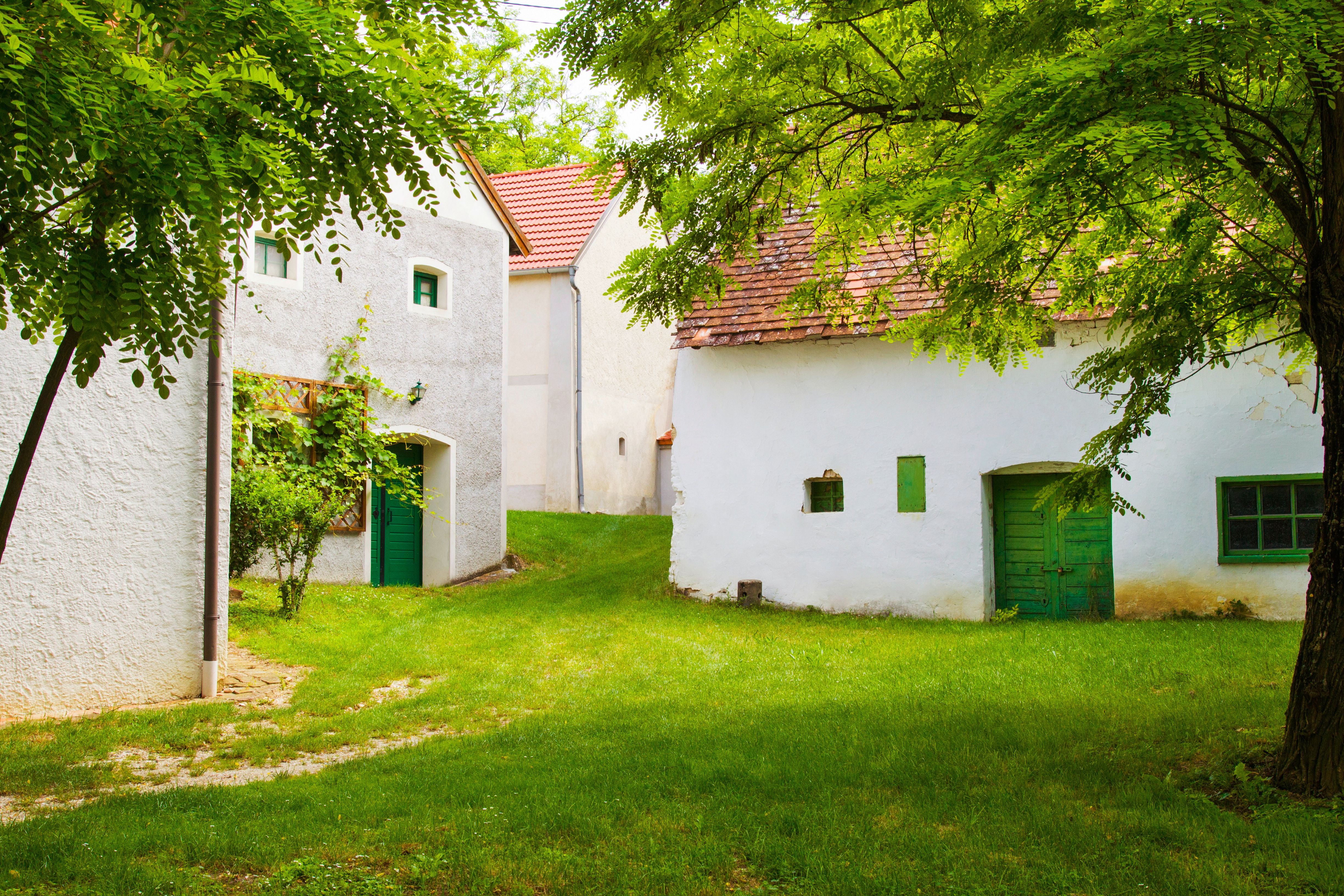 Traditionelle Weinkeller in Großkrut, umgeben von grüner Natur.