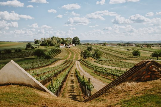 rund um die Weinviertler Kellergassen,, © Niederösterreich Werbung / Nina Skalikova