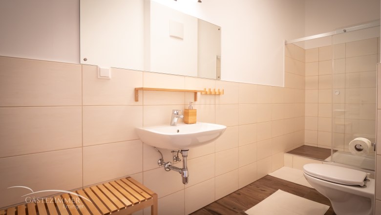 Modernes Badezimmer mit Waschbecken, Spiegel, Dusche und Toilette.
