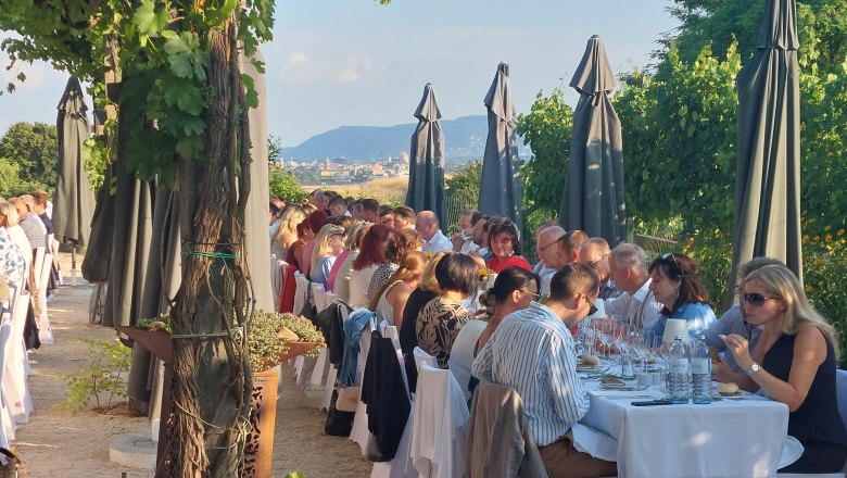 Menschen sitzen an einem langen Tisch im Freien unter Sonnenschirmen und Weinreben.