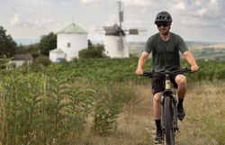 Ein Radfahrer genießt die sanften Hügel des Weinviertels, während die historische Windmühle im Hintergrund majestätisch thront. Die grüne Landschaft und der strahlend blaue Himmel schaffen eine perfekte Kulisse für unvergessliche Erlebnisse in der Natur.