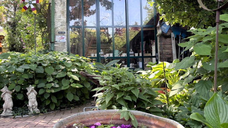 Ein Cottage-Garten mit einem Zinkbeh&auml;lter voller Blumen, umgeben von &uuml;ppigem Gr&uuml;n und einer Glasfront mit der Aufschrift 'Seven Sisters Road N15'.