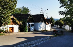 Kellergasse mit weißen Häusern und Bäumen bei Sonnenschein.