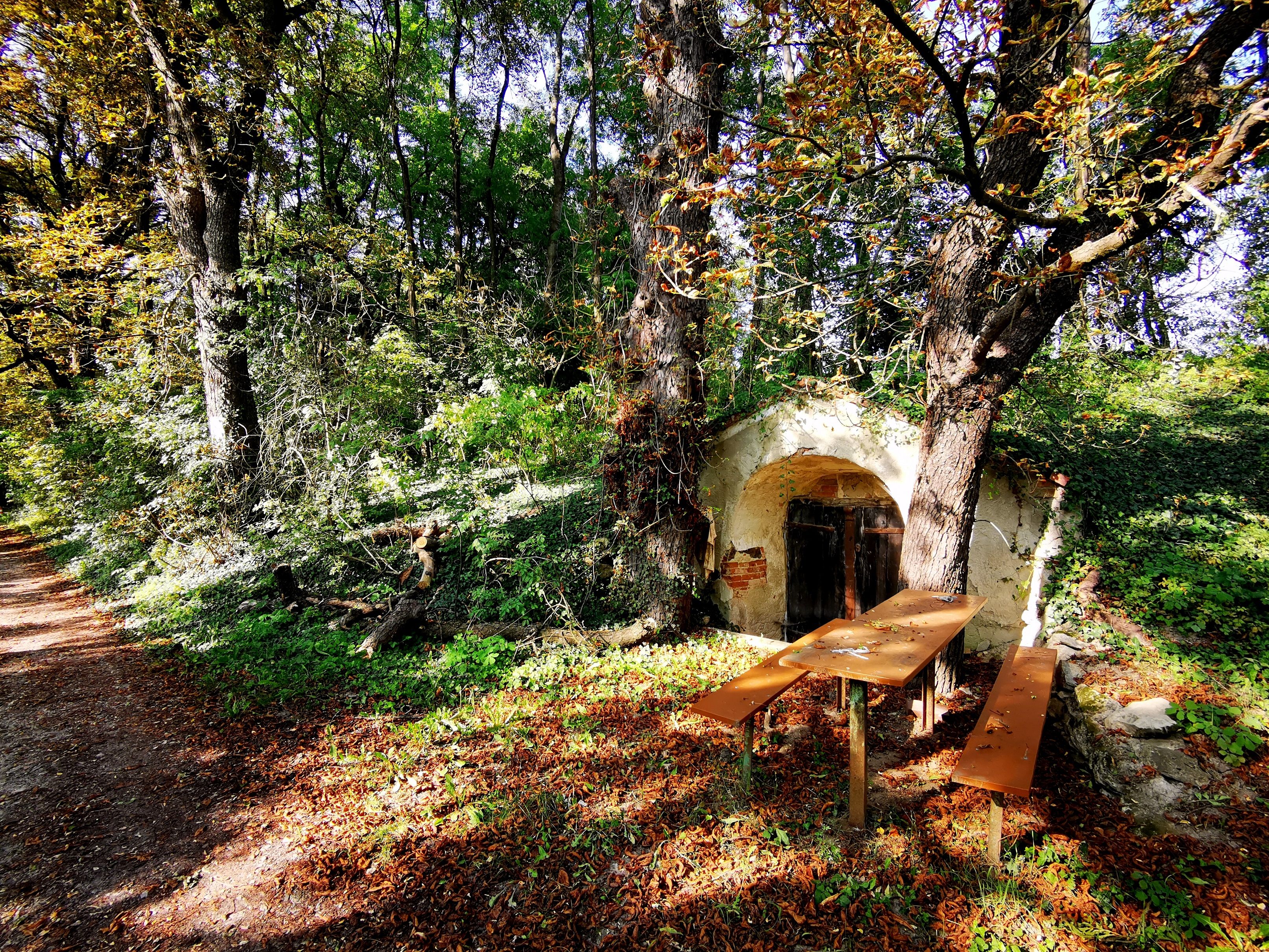 Kellergasse in Schrattenthal mit Tisch und Bänken im Wald.