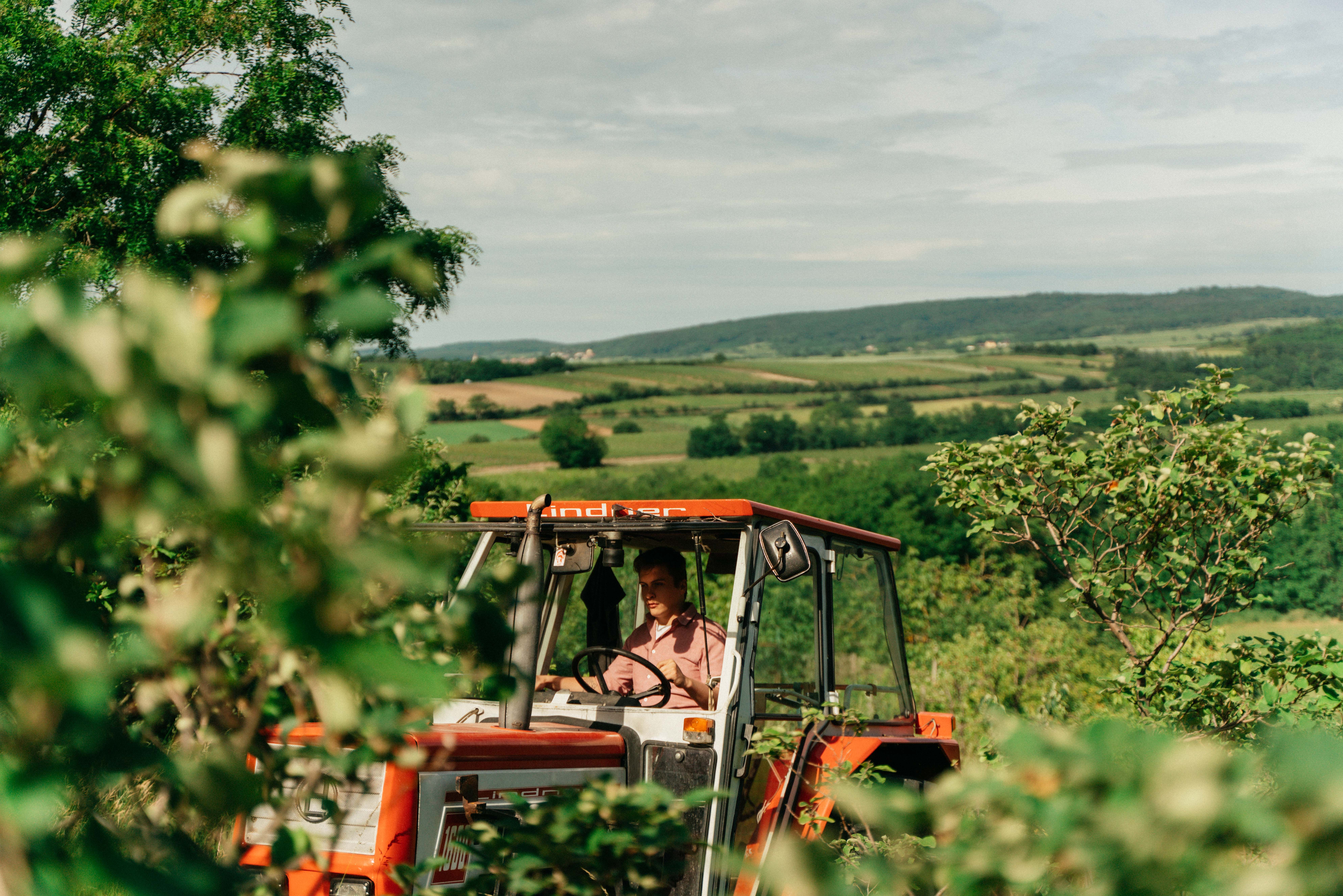 Muž riadi červený traktor cez zelenú krajinu s kopcami v pozadí.