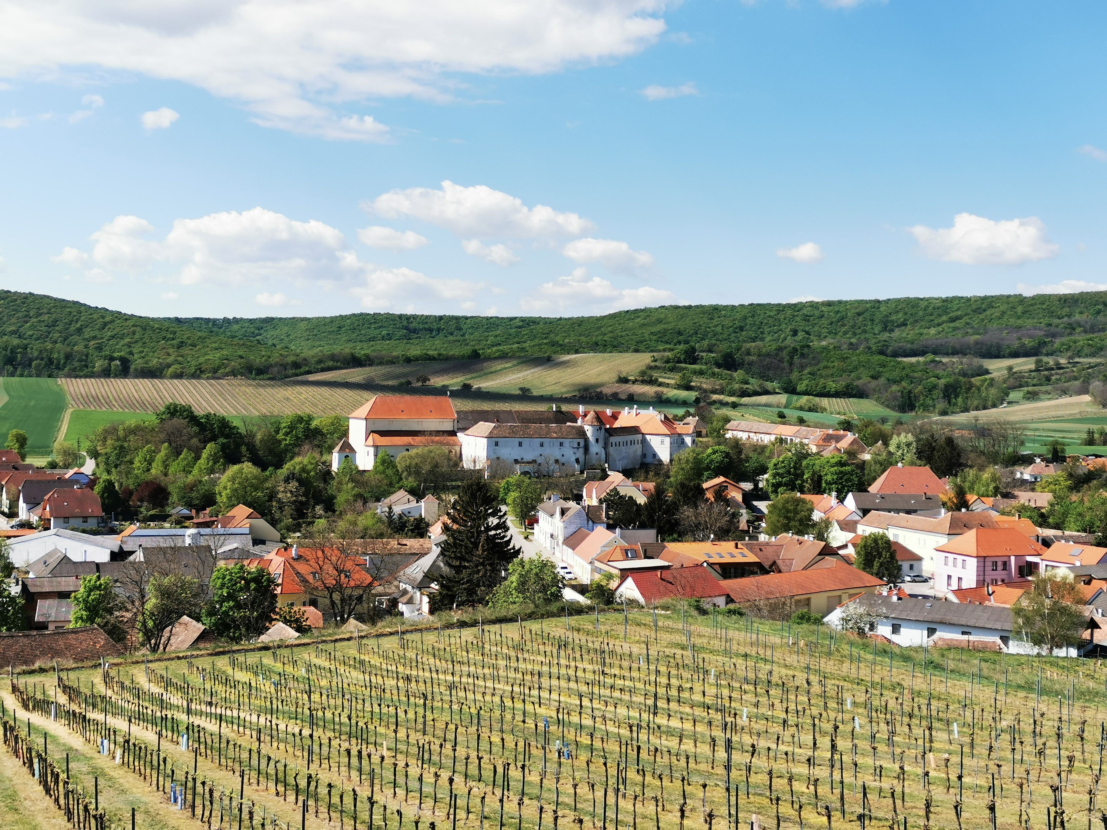 View of a village with vineyards in the foreground and hills in the background.
