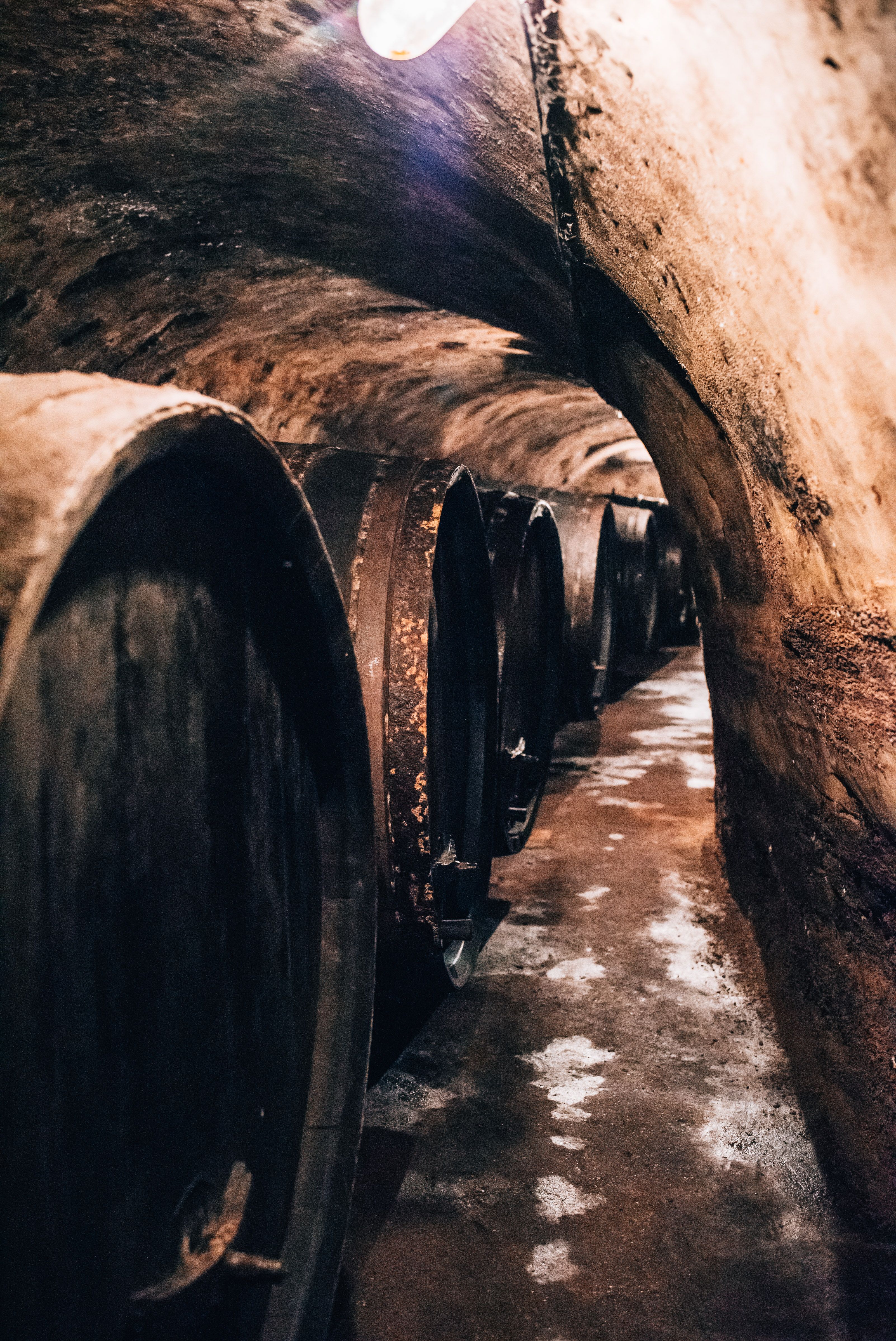 In einem geheimnisvollen Weinkeller reihen sich große, dunkle Fässer aneinander und verbreiten den verführerischen Duft von reifem Wein. Das sanfte Licht, das durch die gewölbte Decke strahlt, schafft eine einladende Atmosphäre, die zum Verweilen einlädt. Hier, inmitten der kühlen Steinmauern, wird die Tradition des Weinbaus lebendig.