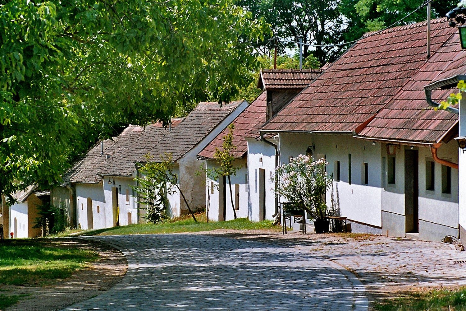 Eine malerische Kellergasse mit alten, weißen Weinkellern und Kopfsteinpflaster in Pillichsdorf, umgeben von grünen Bäumen.