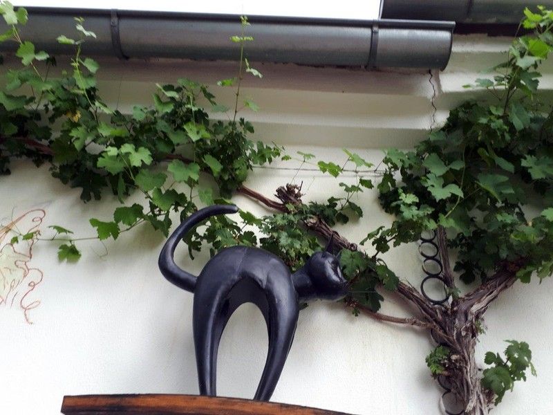 Schwarze Katzenfigur auf einer Mauer mit Weinreben im Hintergrund.