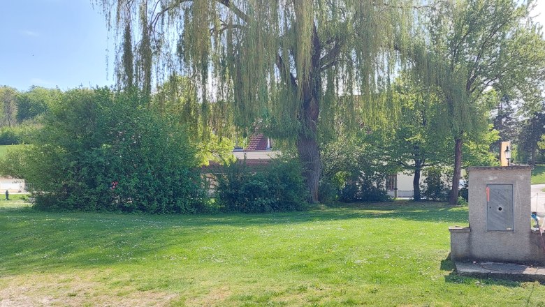 Grüne Wiese mit Bäumen und einem kleinen Gebäude im Hintergrund.